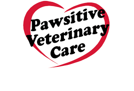 Pawsitive Veterinarian Care