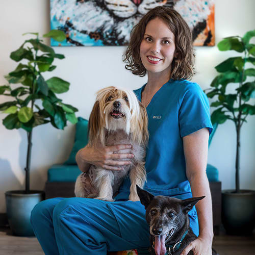 Kelowna Veterinarian