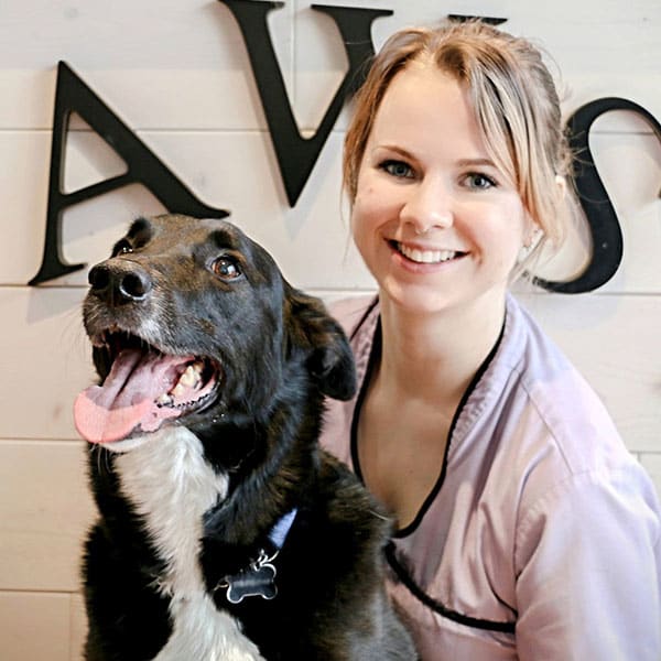 Kelowna Veterinarian