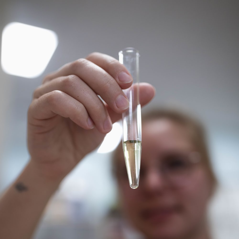 Herbal Medicine, Kelowna Veterinarians