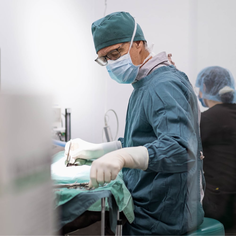 Orthopedic Surgery, Kelowna Veterinarian