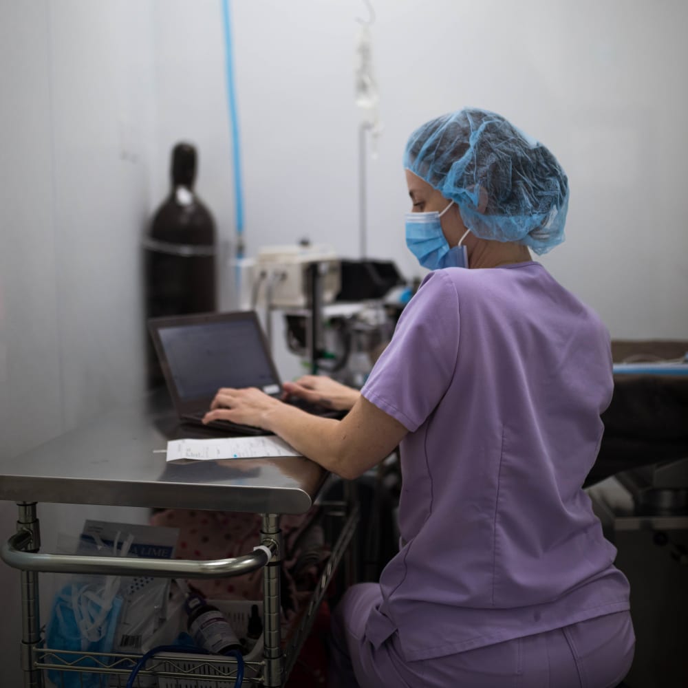 Surgery, Kelowna Vet